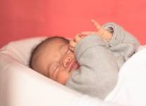 Martin VIZIBLE - Escale Création