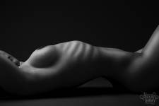 Thimothée ROUAUD - Mister Timmy