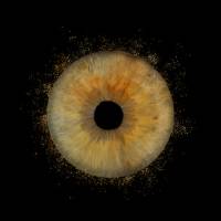 Gabriel JOANNAS - JOANNAS GABRIEL